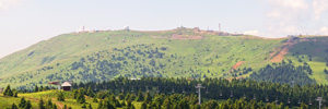 Pančič's Peak and Suvo Rudište